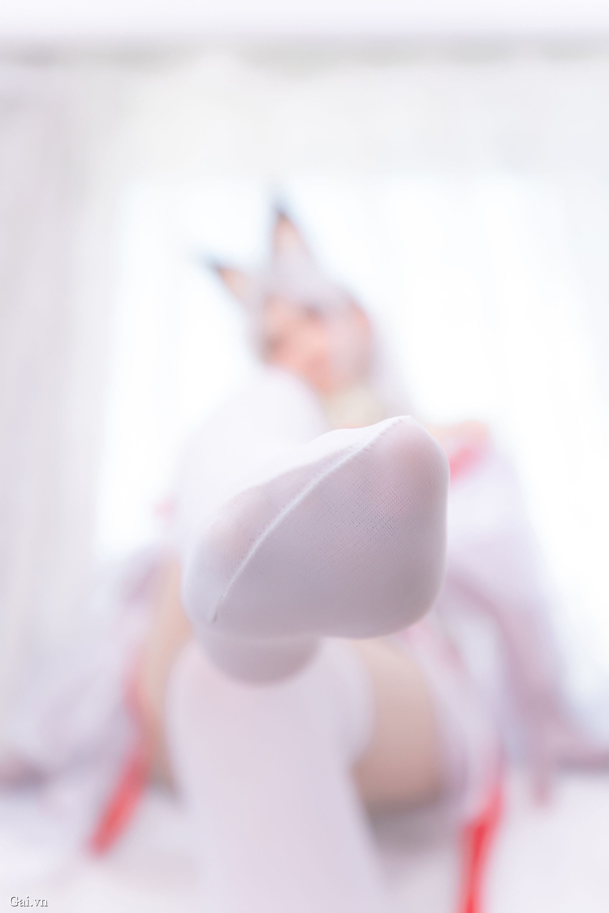 华体会登录入口讲解